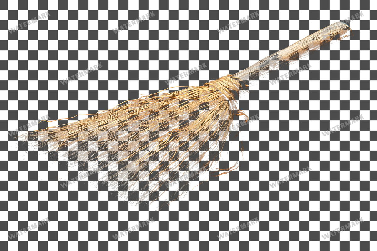 Witch Broom Transparent Overlay Pngs