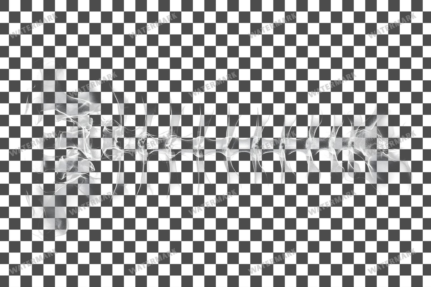 X-Ray Transparent Overlay Pngs