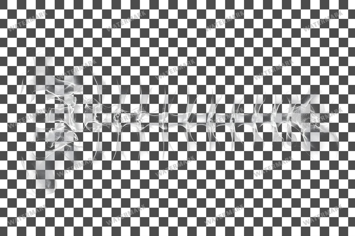 X-Ray Transparent Overlay Pngs