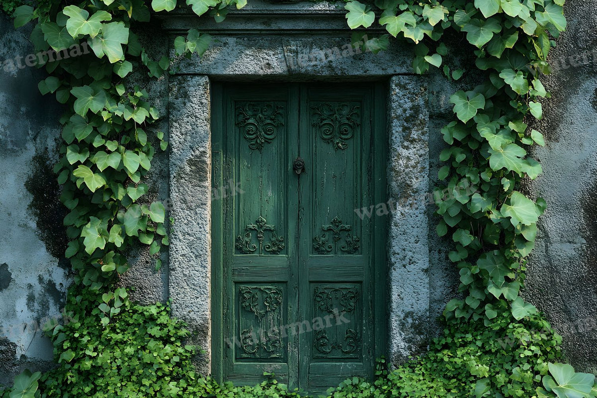 Aged Rustic Wood Door Backdrop Images