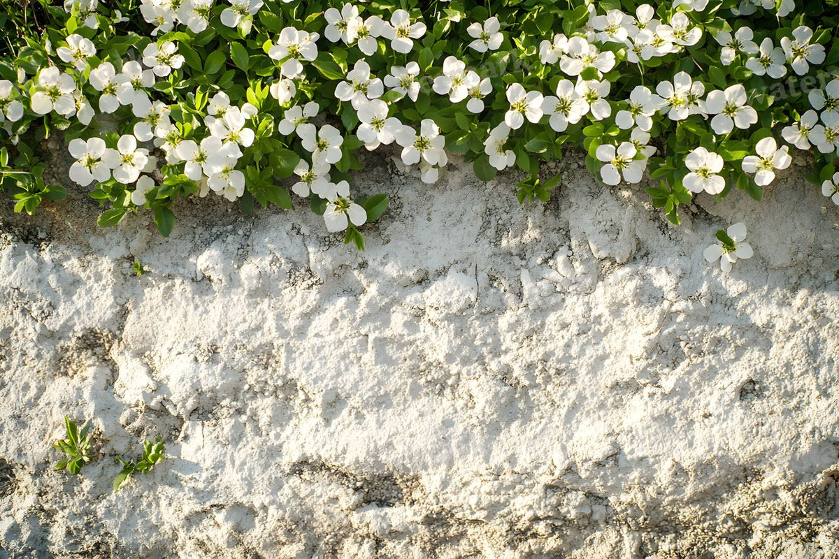 Spring Blossom Escape Backdrop Images