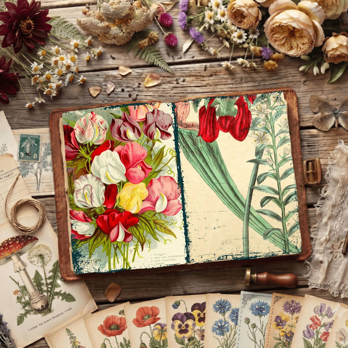 Botanical Illustrations Digital Papers