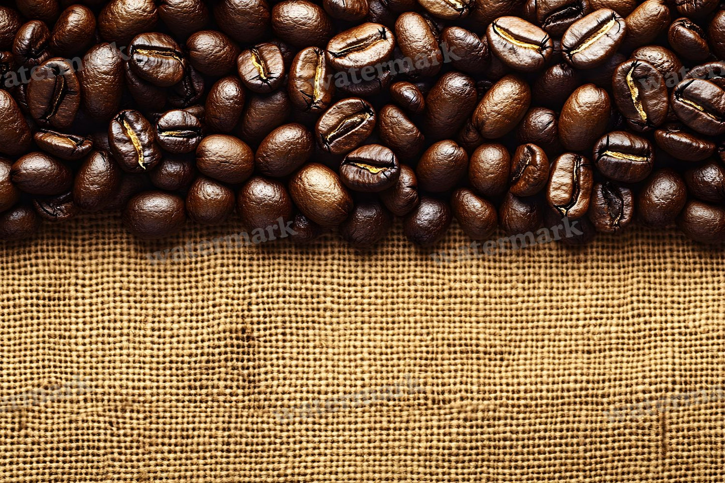 Coffee Shop Setting Backdrop Images