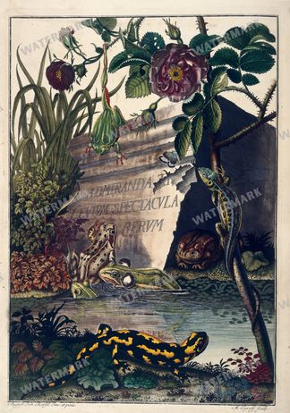 Mixed Ephemera Vintage Prints
