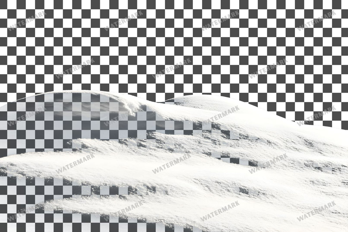 Snow Overlay