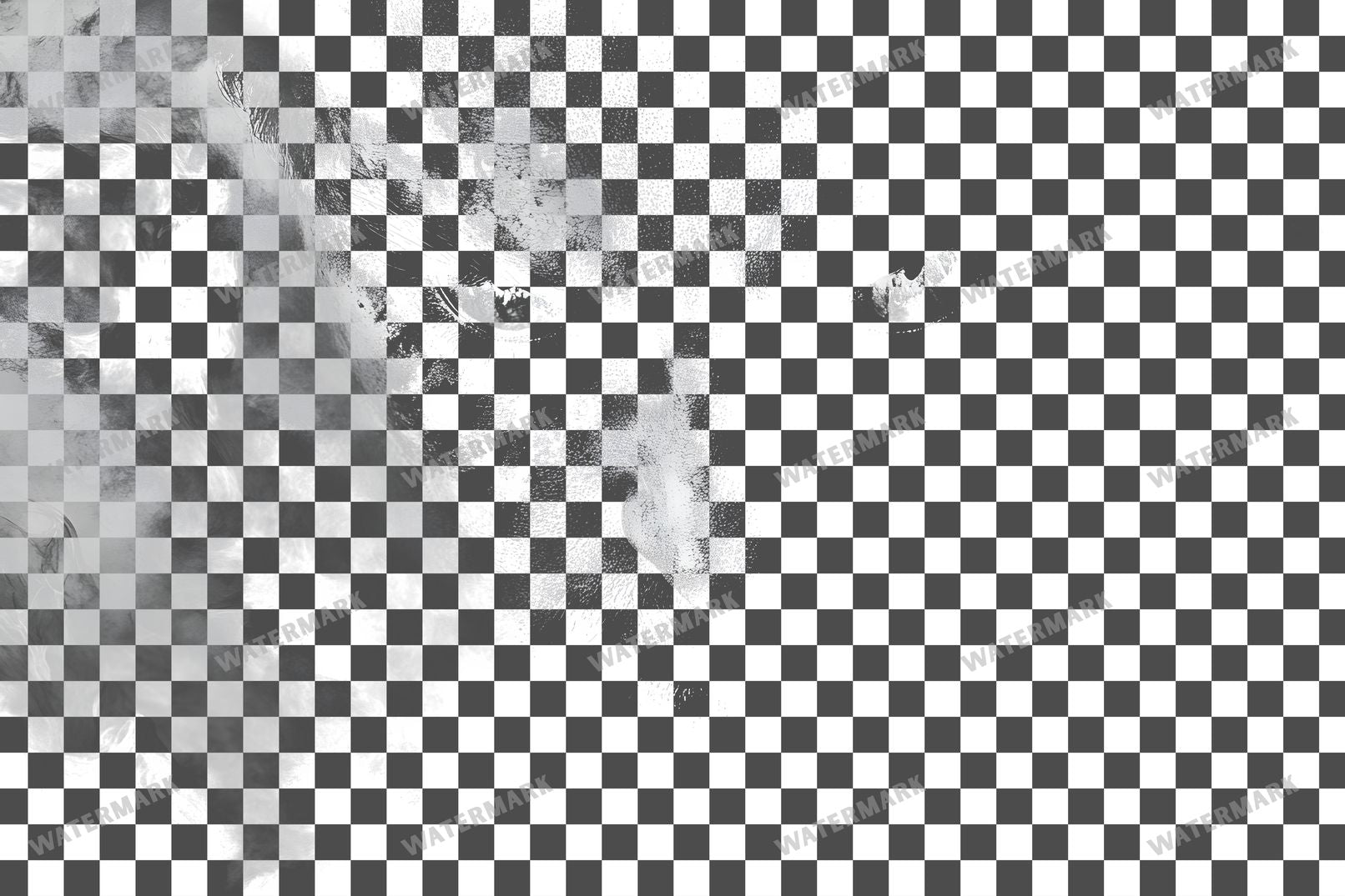 Vampire Transparent Overlay Pngs