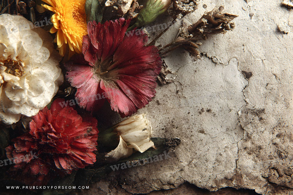 Victorian Backdrop Images