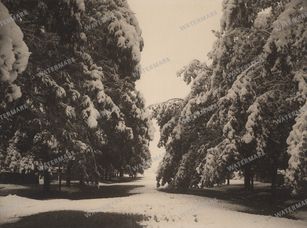 Vintage Photography Vintage Prints