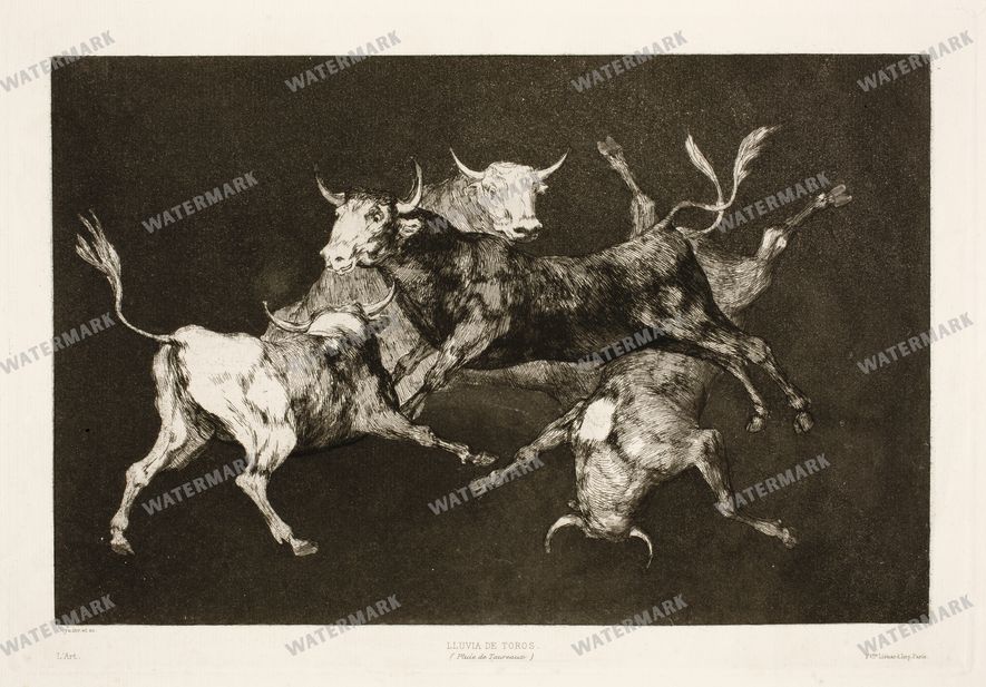 Wall Art Vintage Paintings