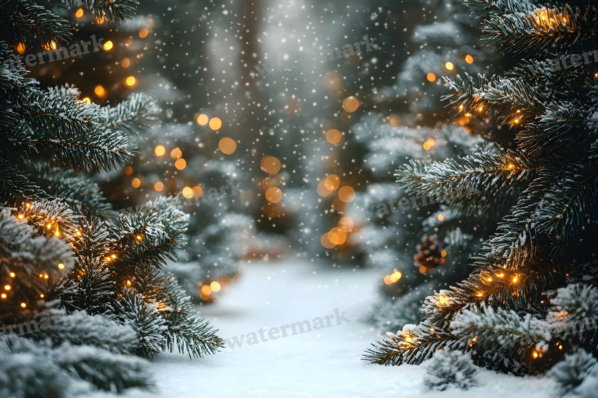 Snowy Forest Backdrop Images