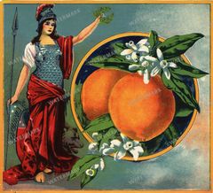 Ads Vintage Prints