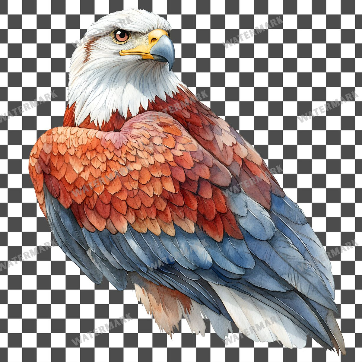 Animals Clipart Pngs