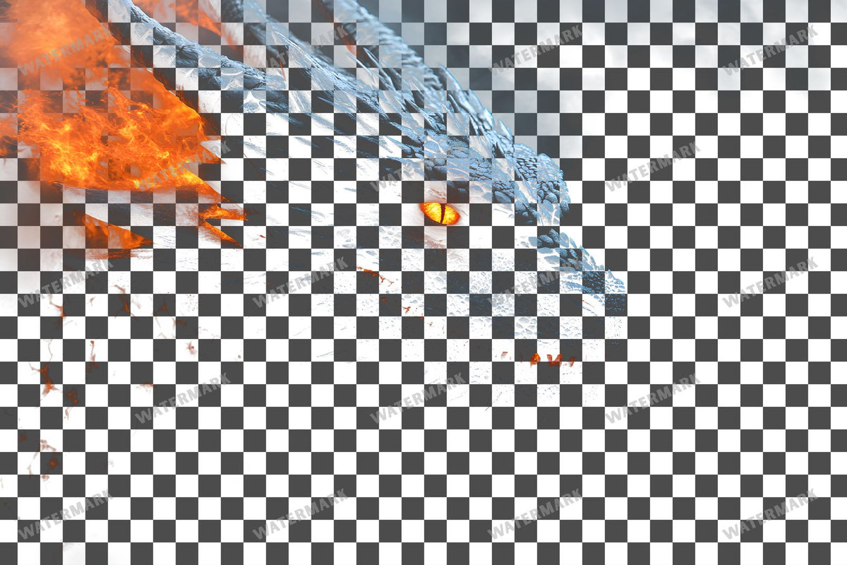Dragon Head Transparent Overlay Pngs