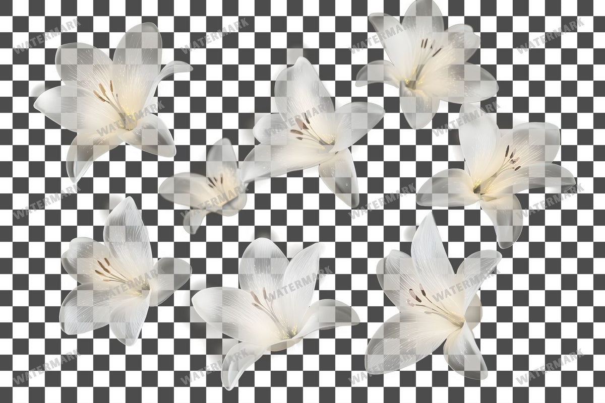 Easter Lilies Transparent Overlay Pngs
