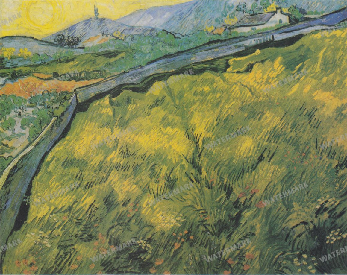 Vincent Willem Van Gogh Vintage Paintings