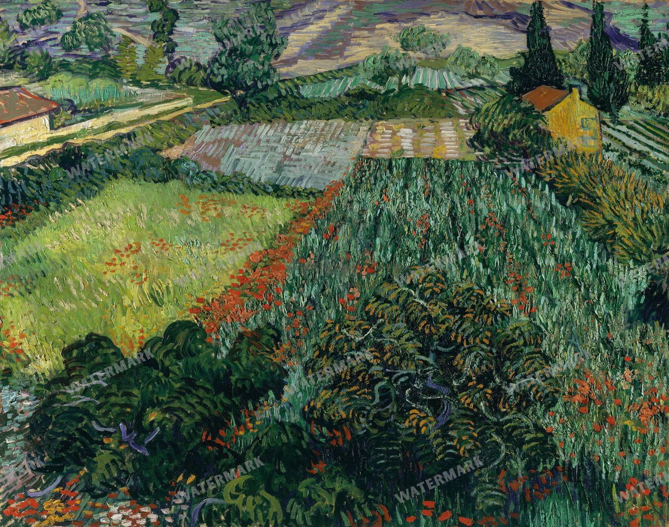 Vincent Willem Van Gogh Vintage Paintings