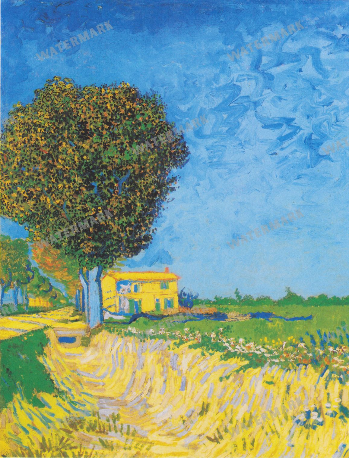 Vincent Willem Van Gogh Vintage Paintings