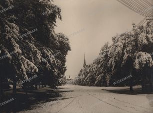 Vintage Photography Vintage Prints