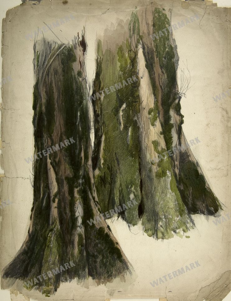 Wall Art Vintage Paintings