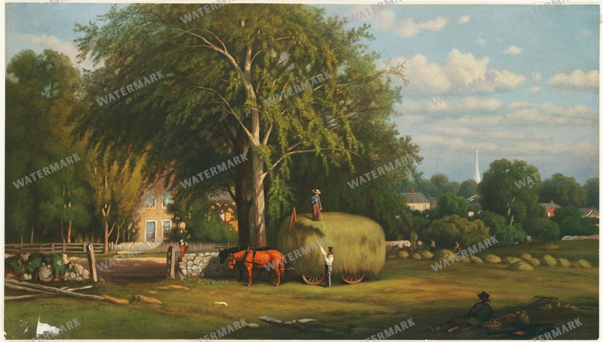 Wall Art Vintage Paintings