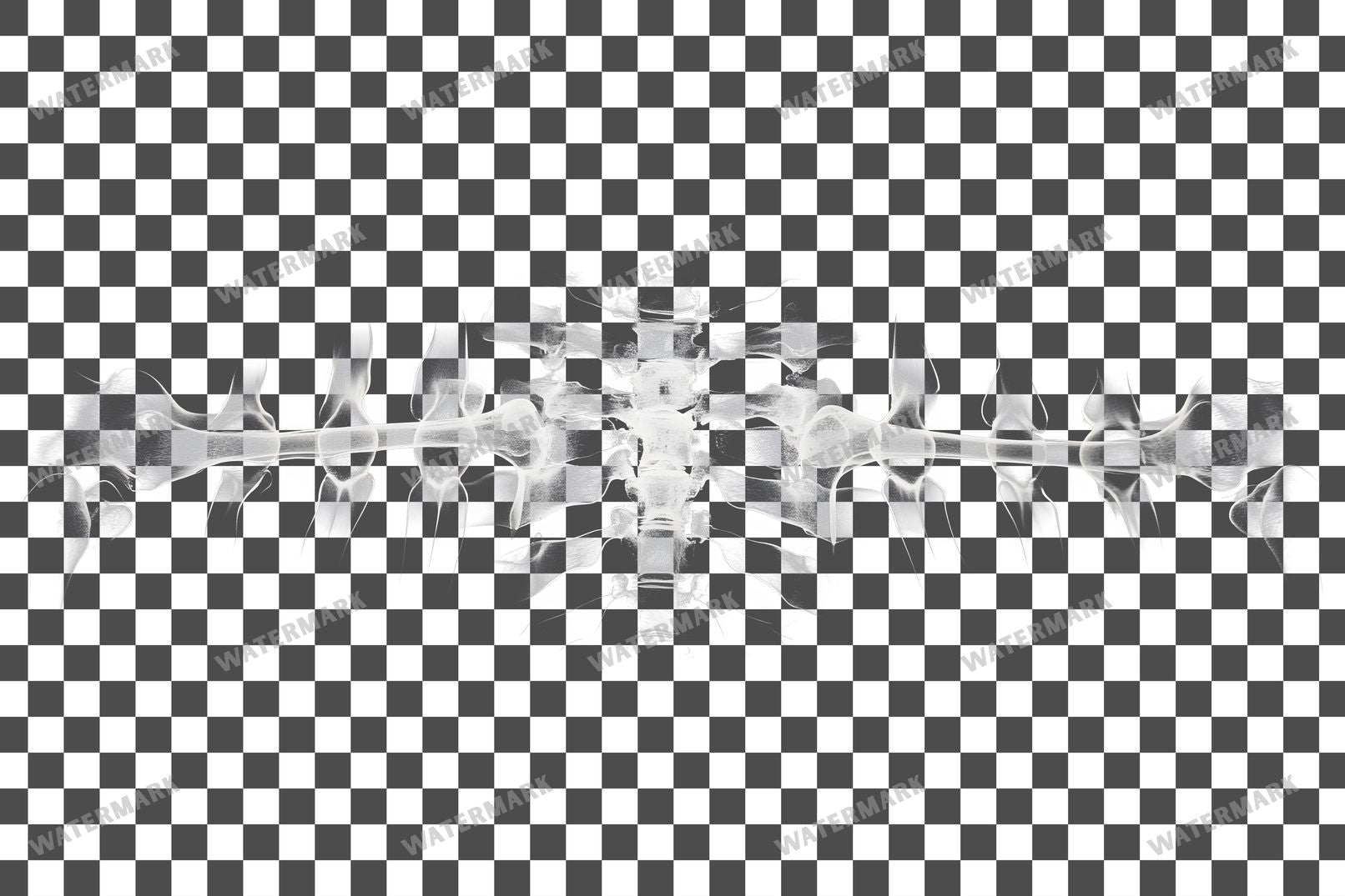 X-Ray Transparent Overlay Pngs