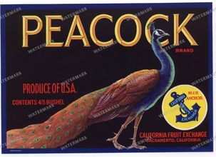 Ads Vintage Prints