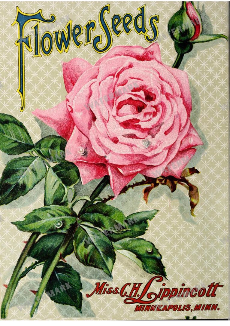 Botanical Vintage Prints