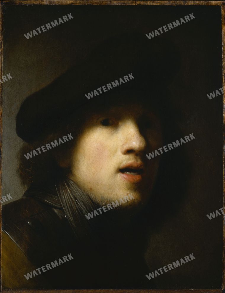 Rembrandt Van Rijn Vintage Paintings