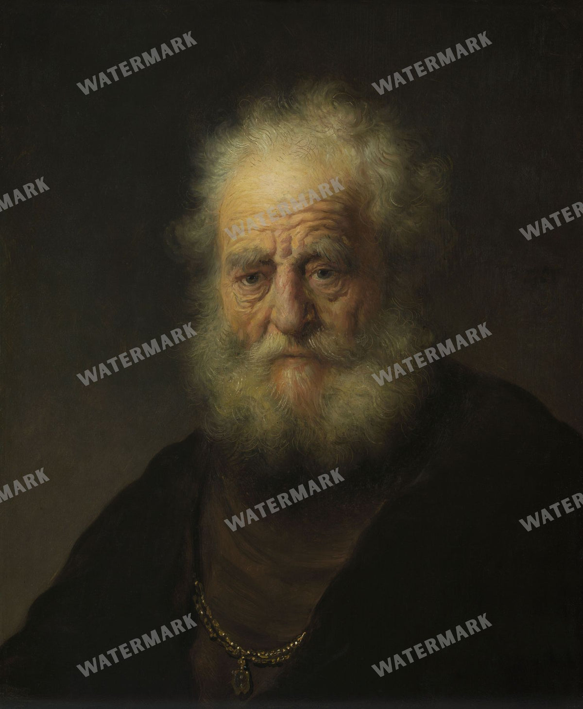 Rembrandt Van Rijn Vintage Paintings