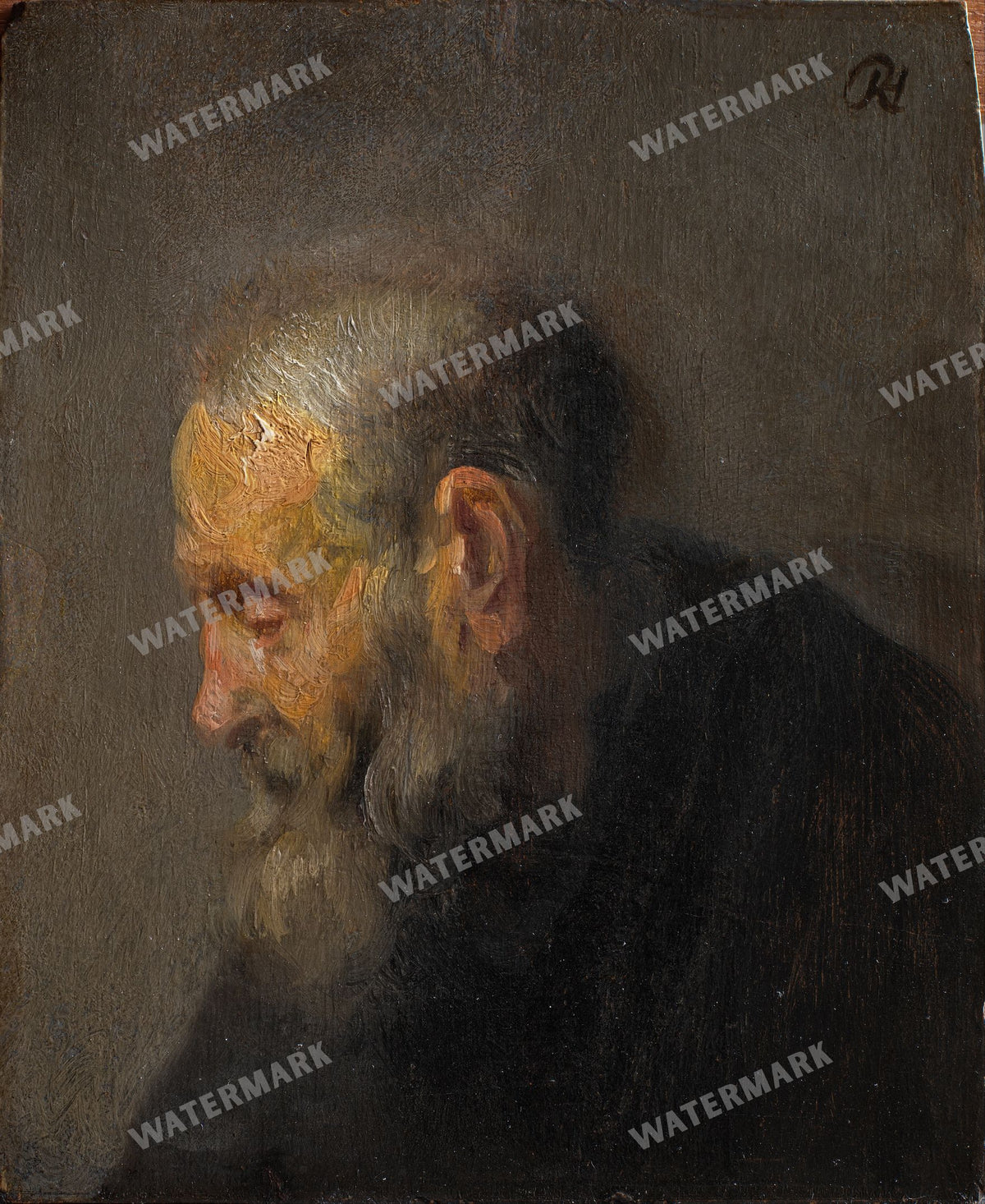 Rembrandt Van Rijn Vintage Paintings