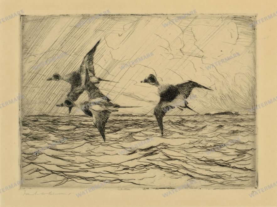 Sketches Vintage Sketches