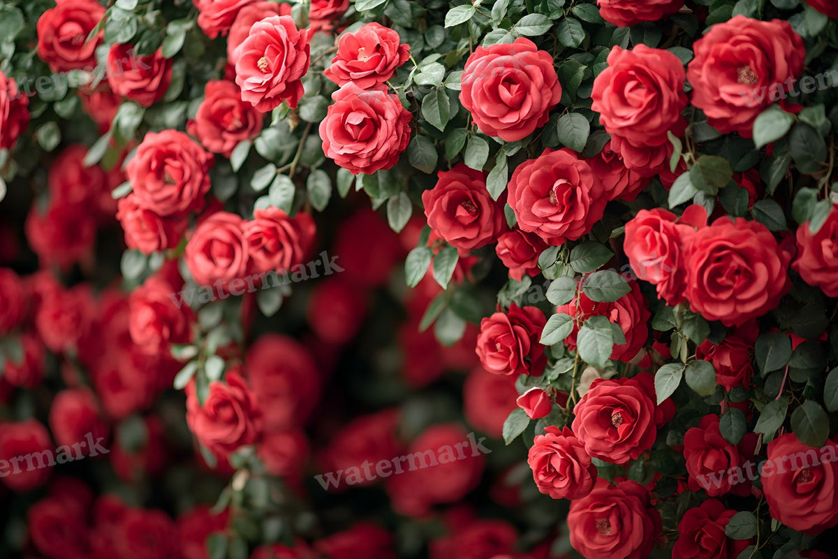 Valentine digital photo backdrop for photo editing, preview 18