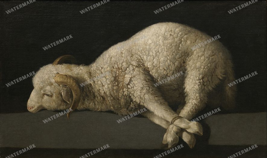 Wall Art Vintage Paintings