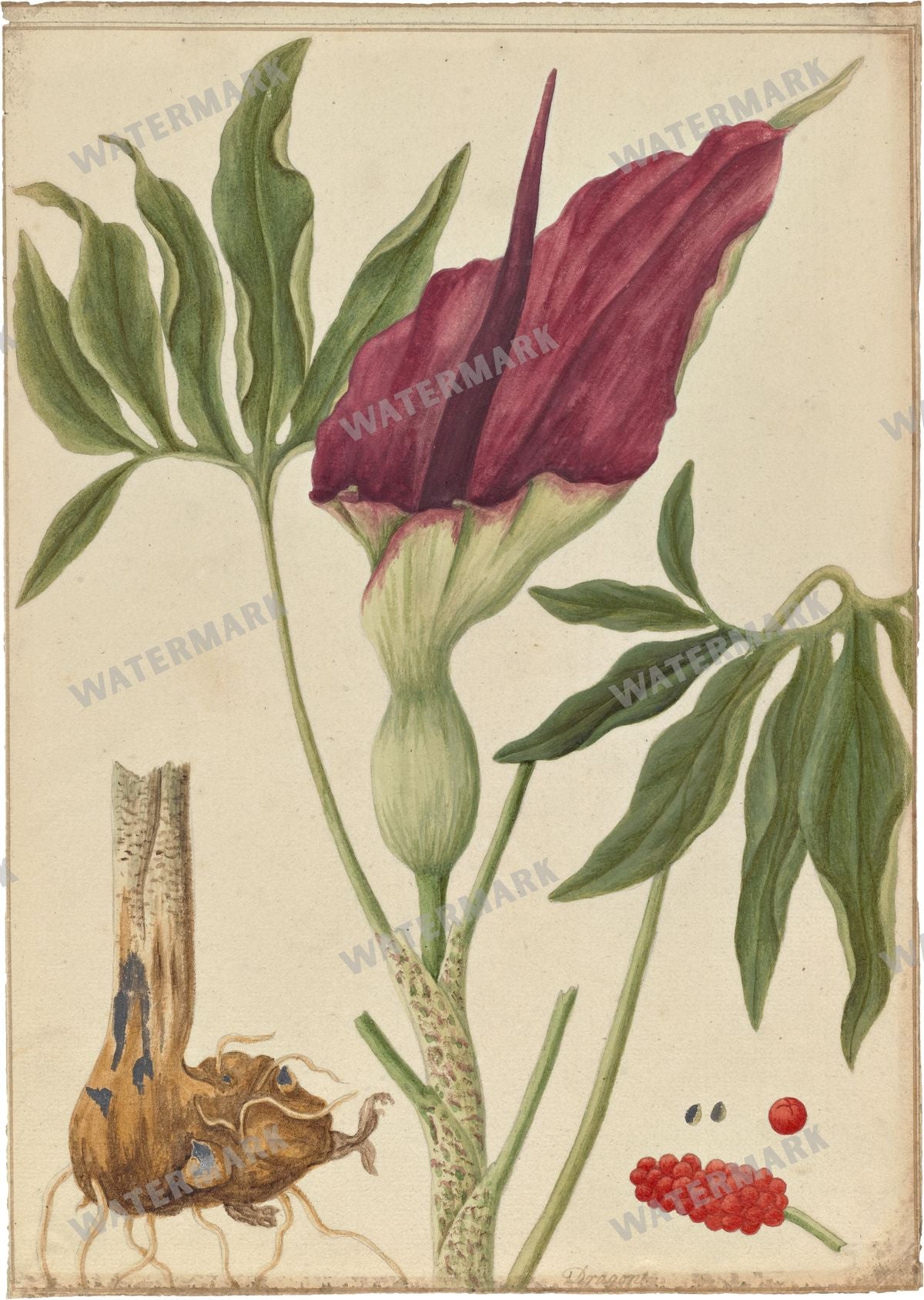 Wall Art Vintage Paintings