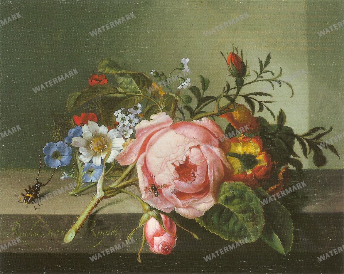 Wall Art Vintage Paintings