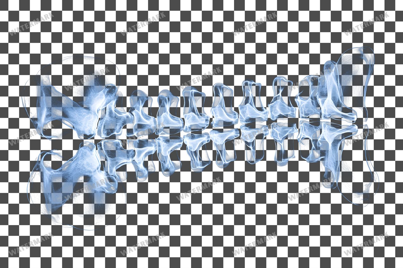 X-Ray Transparent Overlay Pngs