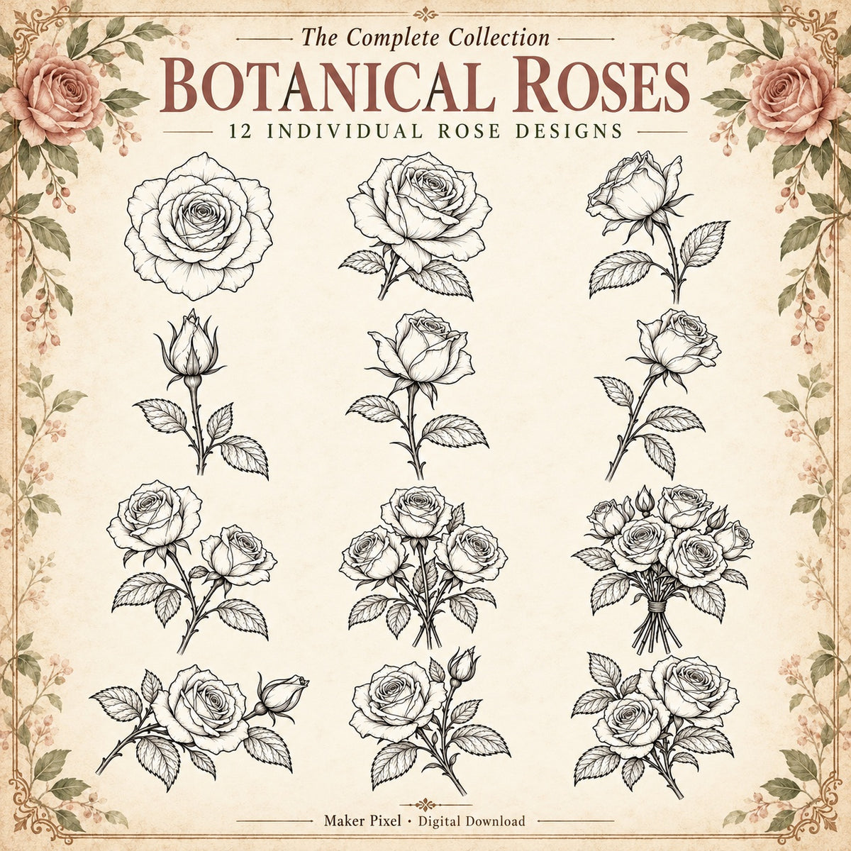 Botanical Roses SVG Pack – 12 Vintage Fine Art Line Drawings