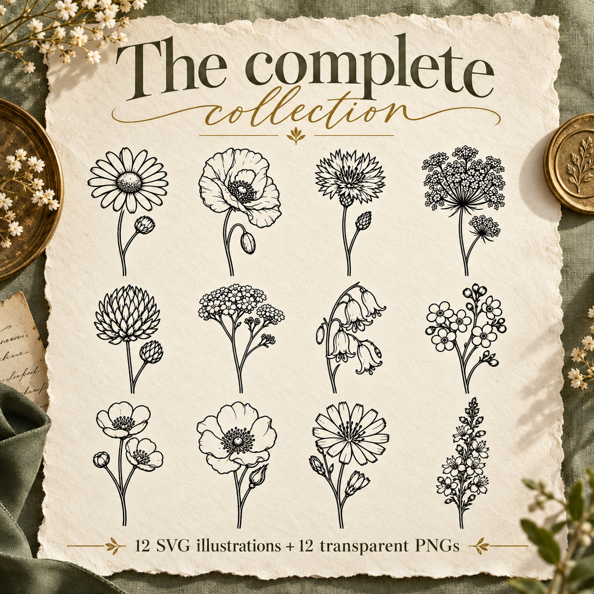 Vintage Wildflower SVG Set - 12 Fine Line Botanical Illustrations