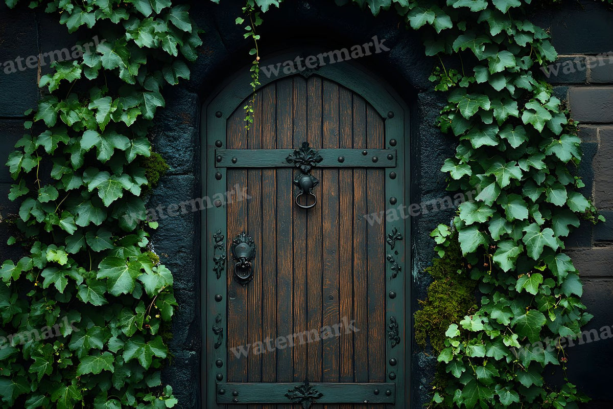 Aged Rustic Wood Door Backdrop Images