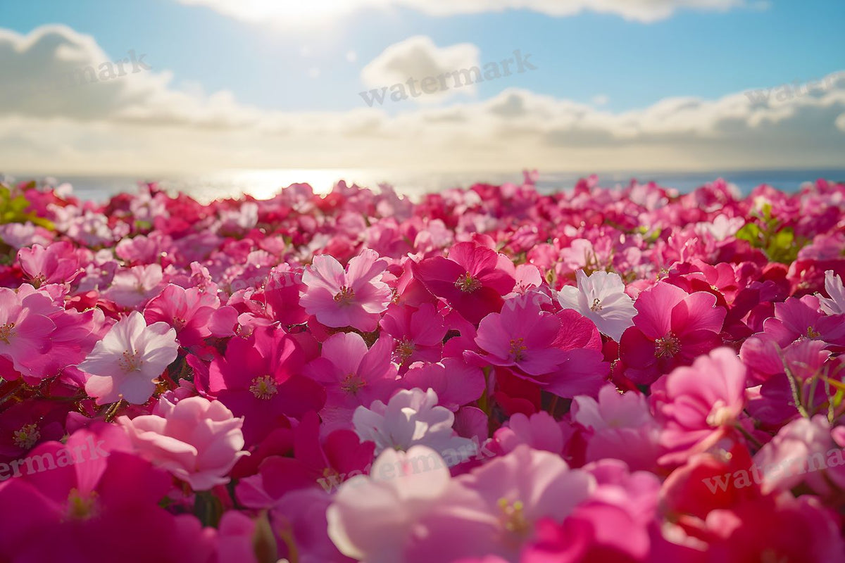Spring Blossom Escape Backdrop Images