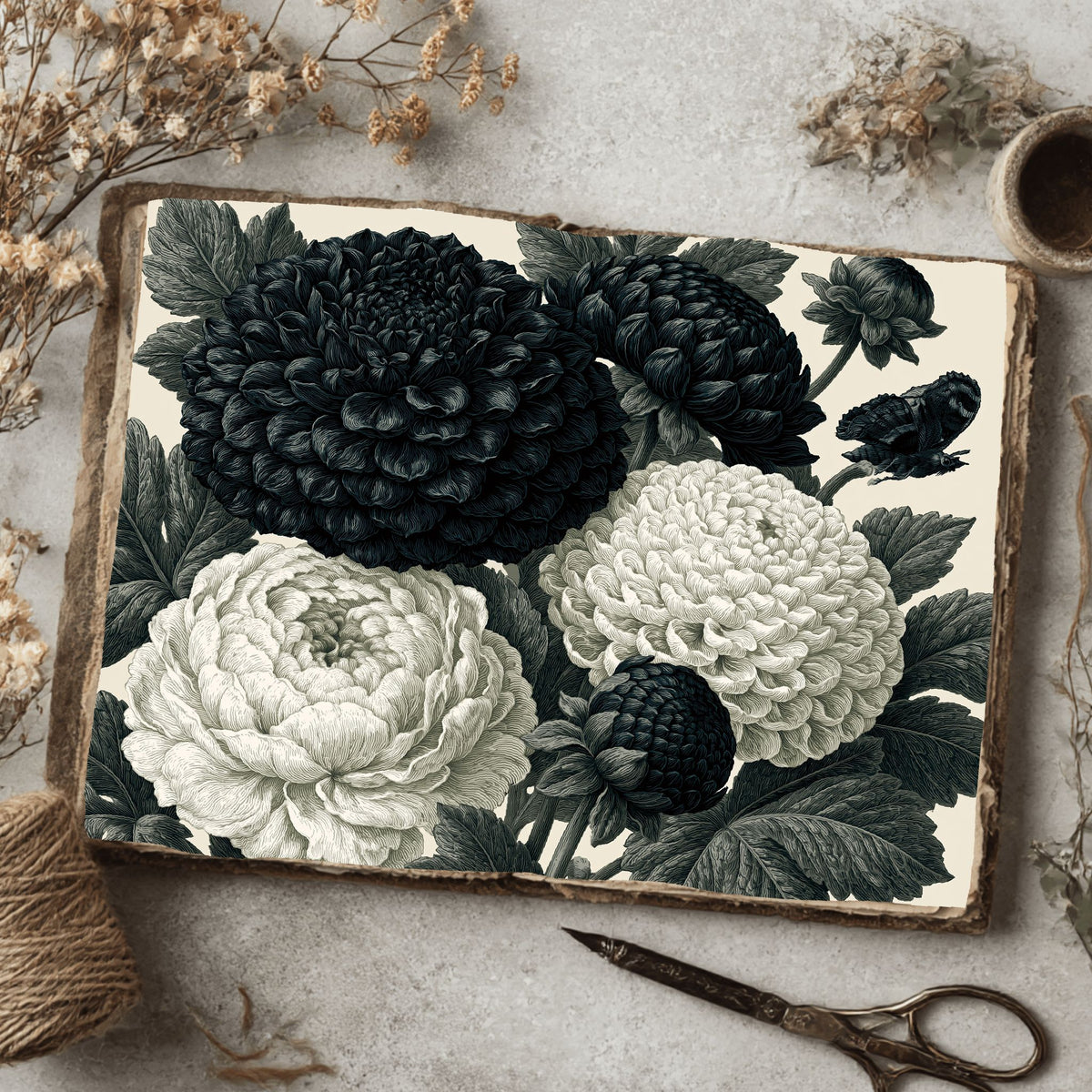 Vintage Black Ink Floral Illustration