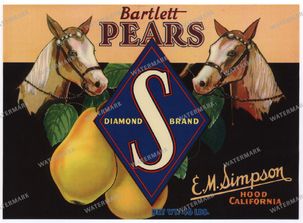 Ads Vintage Prints