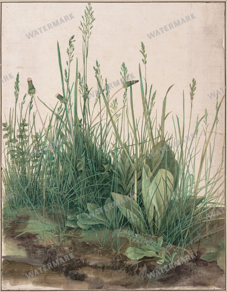 Albrecht Altdorfer Vintage Paintings
