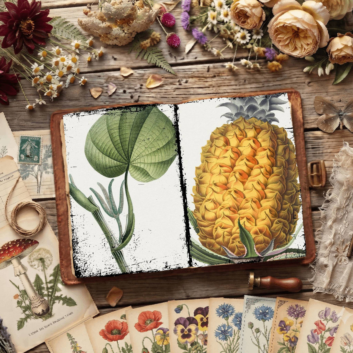 Botanical Illustrations Digital Papers
