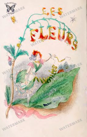 Botanical Vintage Prints