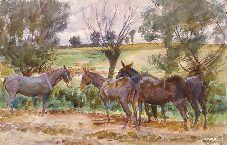 John Singer Sargent Vintage Paintings