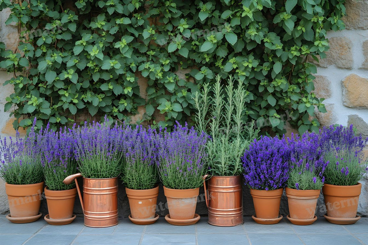 Meticulouvictorian Garden Backdrop Images