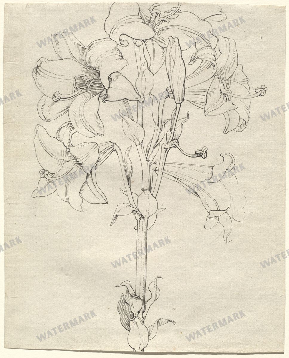 Sketches Vintage Sketches
