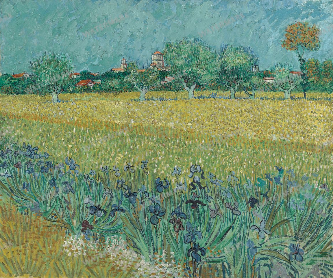 Vincent Willem Van Gogh Vintage Paintings