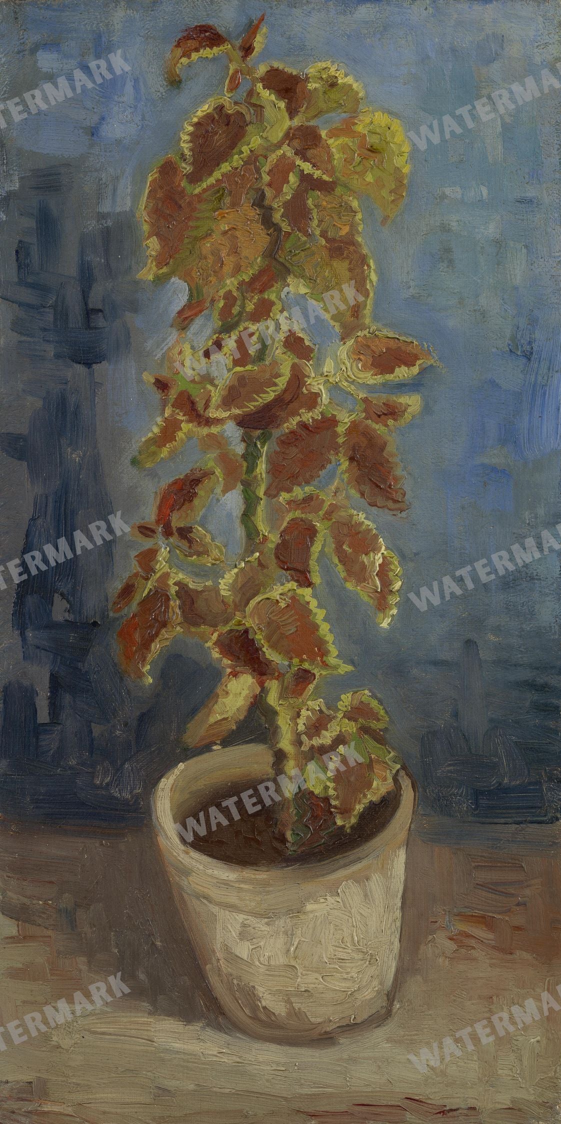 Vincent Willem Van Gogh Vintage Paintings